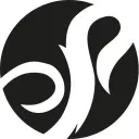 Fléchettes Pointe Acier Shot image