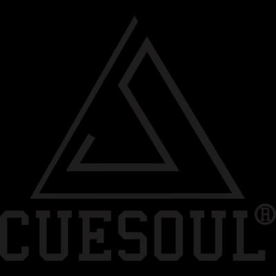 Cuesoul Darts